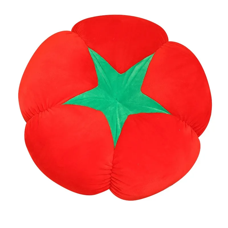 Tomatenvormig vloerkussen, lag - Floor Cushion Pouf recensie en prijs